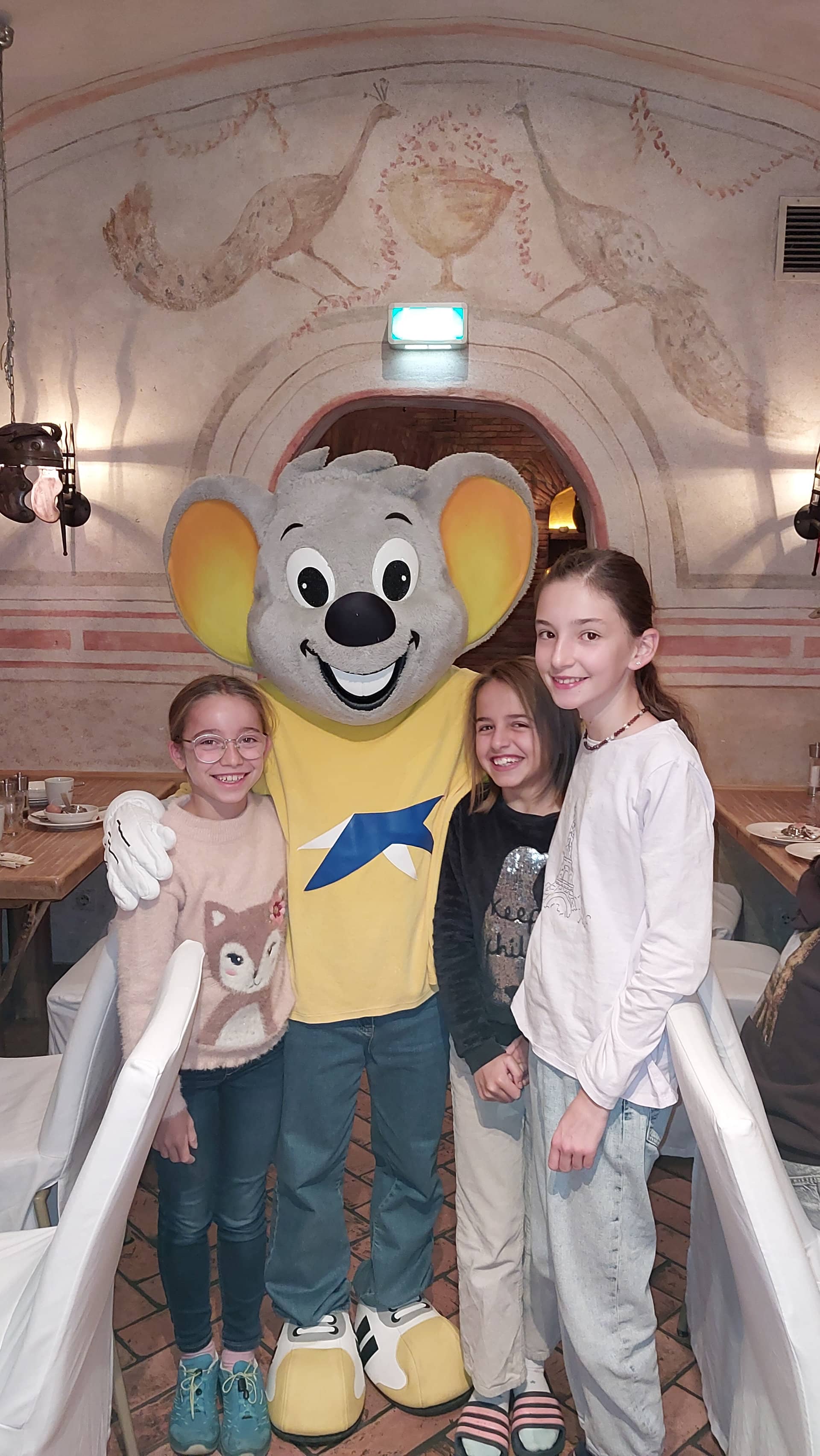 Bild 19
